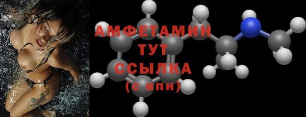 амф Пестово