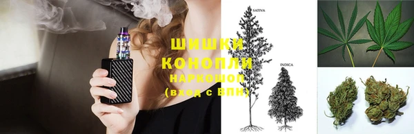 амф Пестово