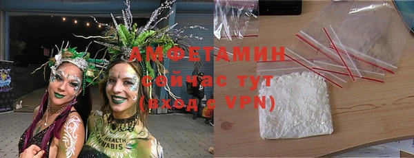 амф Пестово