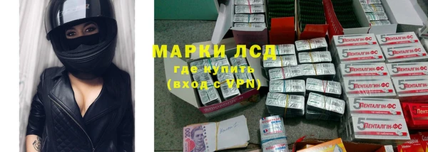 амф Пестово