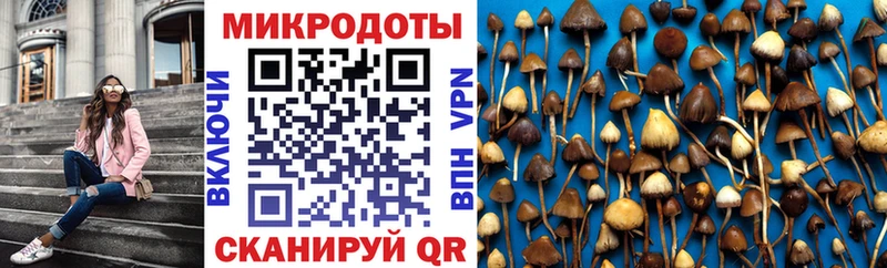купить сайты Дно Галлюциногенные грибы Psilocybe