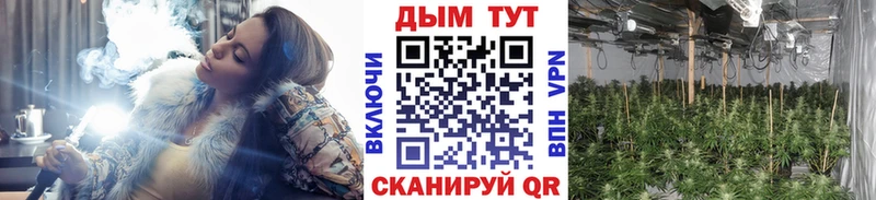 как найти   Дно  площадка состав  МАРИХУАНА White Widow 